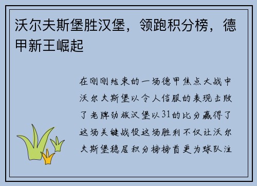 沃尔夫斯堡胜汉堡，领跑积分榜，德甲新王崛起