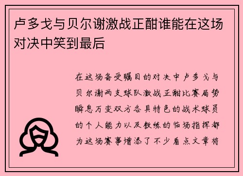 卢多戈与贝尔谢激战正酣谁能在这场对决中笑到最后