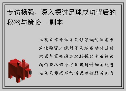 专访杨强：深入探讨足球成功背后的秘密与策略 - 副本